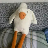 Goose Buddy