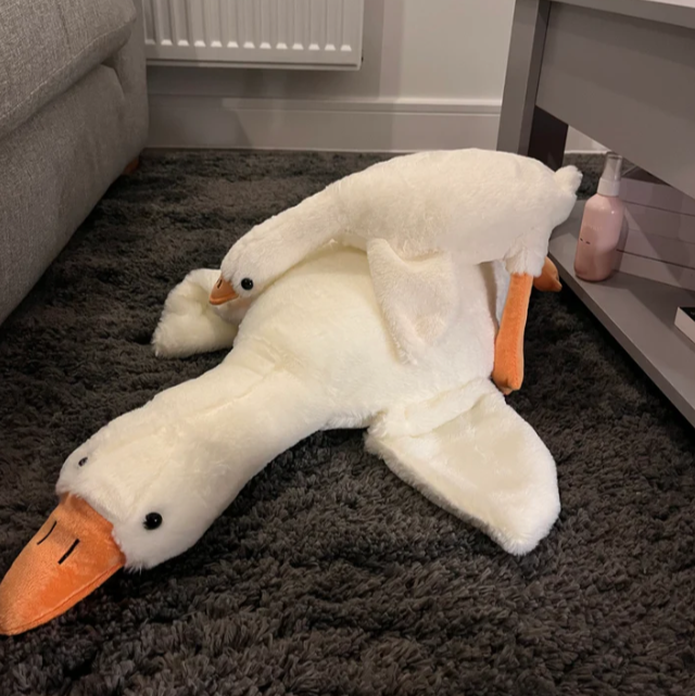 Goose Buddy